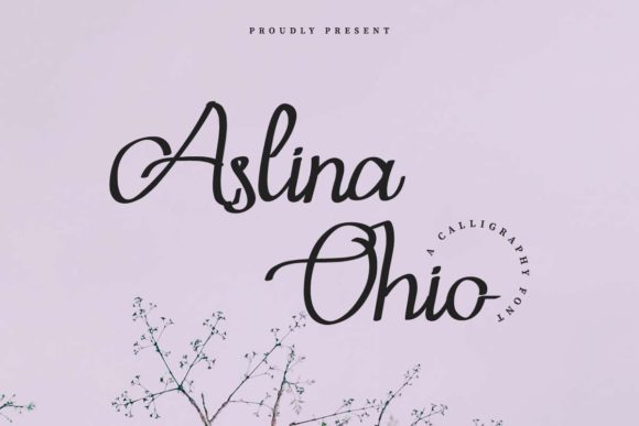 Aslina Ohio: The Script Font for Scroll-Stopping Visuals