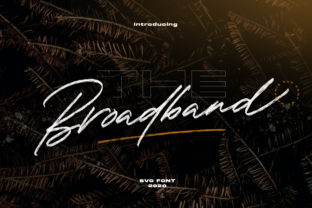 Broadband: The Charming Script Font for Handmade Branding