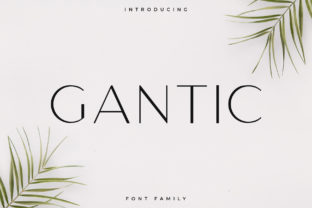 Gantic: The Elegant Sans Serif Font for Handmade Creators