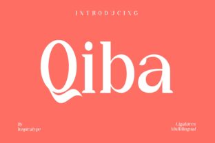Qiba Typeface Review: A Charming Serif for Web Design