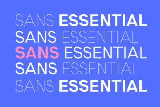 Sans Essential: The Simple Typeface for Polished Brand Identity