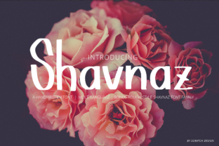 Why Shavnaz is the Perfect Sans Serif for Modern Web Design