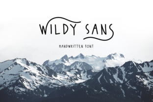 Wildy Sans: The Modern Typeface That Elevates Campaign Clarity